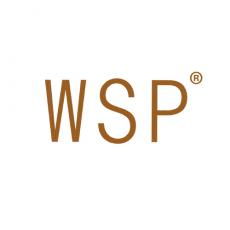 wsp 29類 食品魚肉 專注商標轉讓13年 標博士